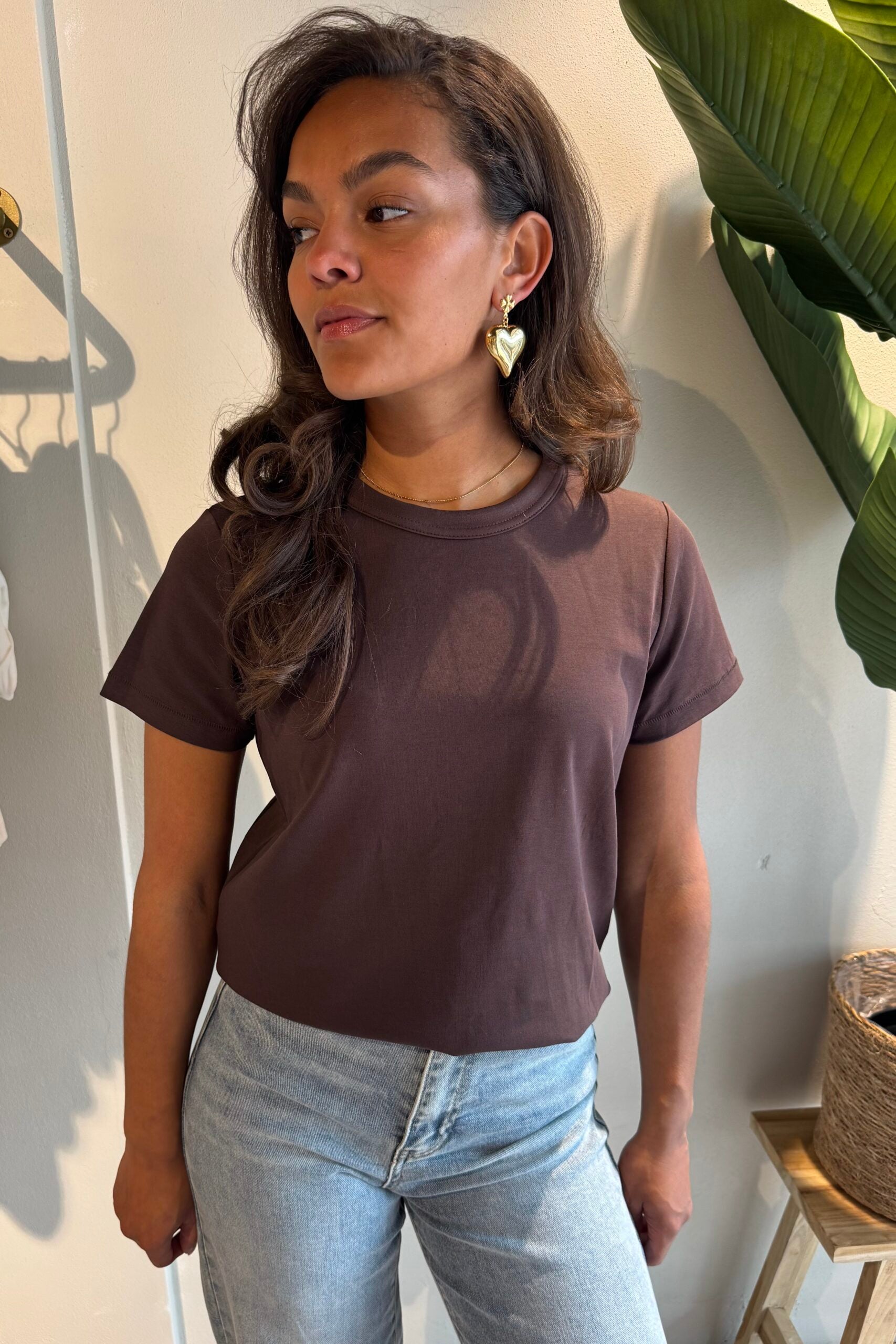 Iris t-shirt bruin